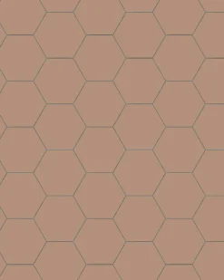 Klinker - Hexagon 10 x 10 cm gammelrosa