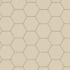 Klinker - Hexagon 10 x 10 cm ontario
