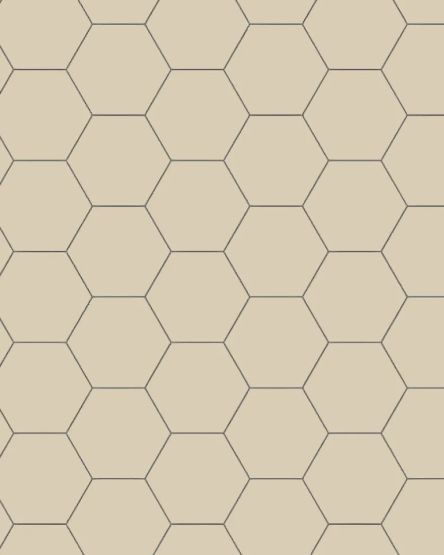 Klinker - Hexagon 10 x 10 cm ontario