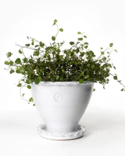 Kruka Sturehof - Adelcrantz, 17 cm vit