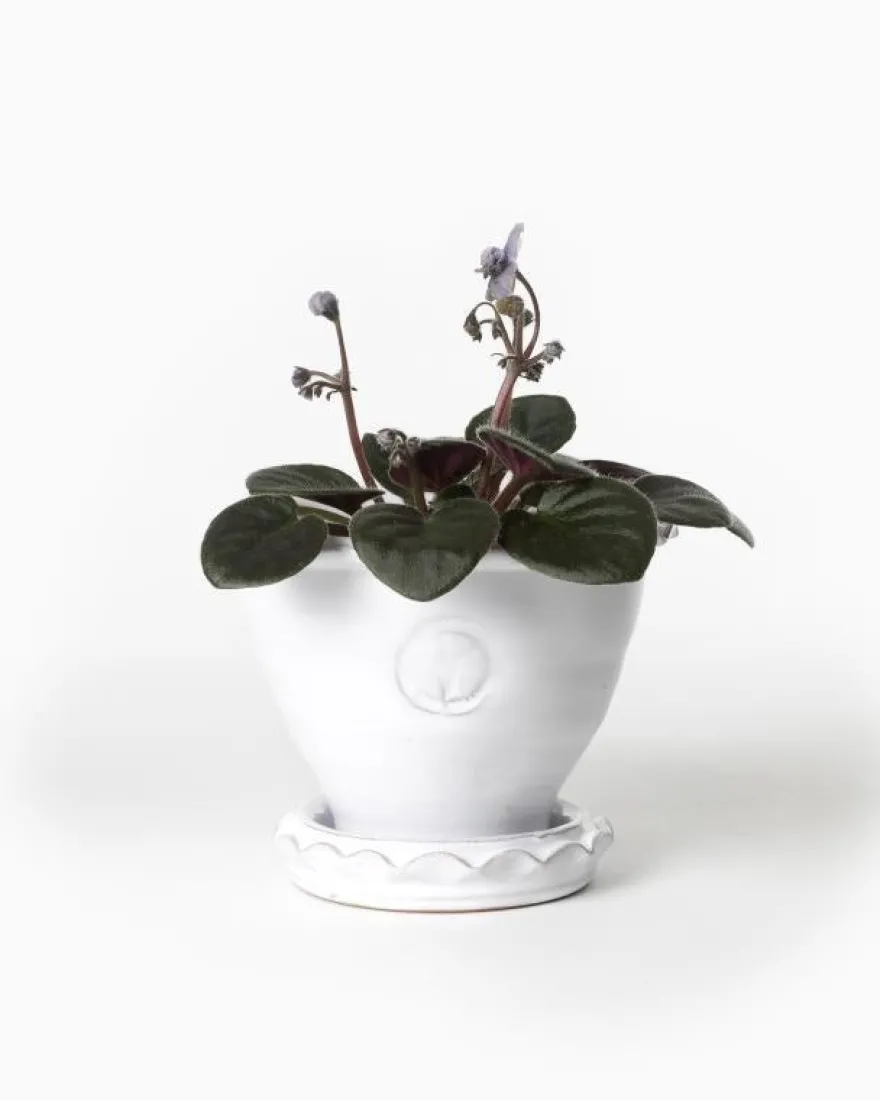 Kruka Sturehof - Adelcrantz, 11 cm vit