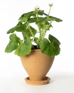 Kruka Sturehof - Adelcrantz 21 cm