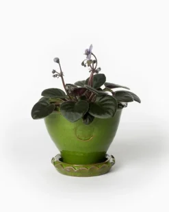 Kruka Sturehof - Adelcrantz, 11 cm grön