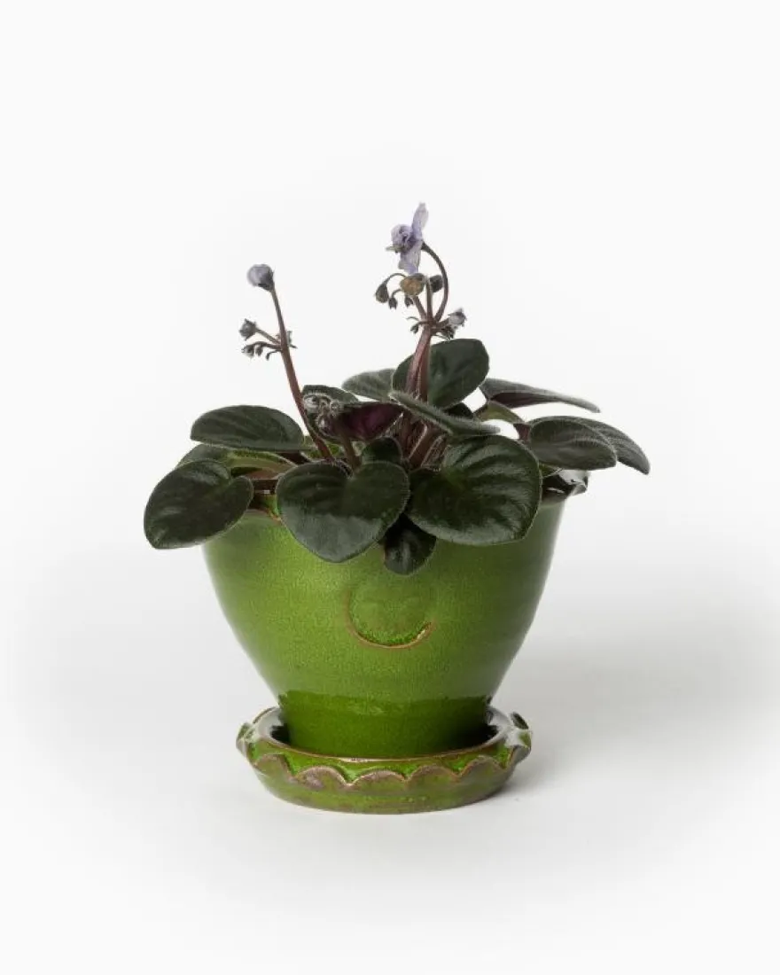 Kruka Sturehof - Adelcrantz, 11 cm grön