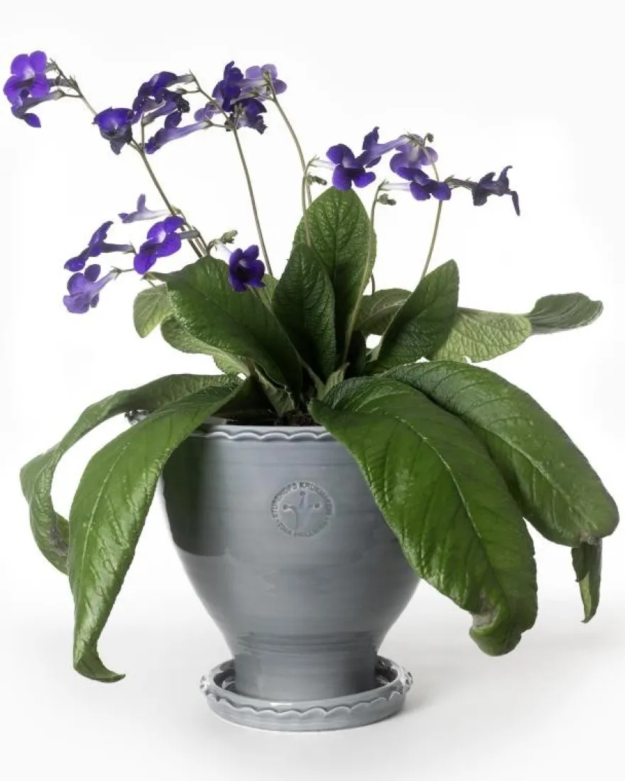 Kruka Sturehof - Adelcrantz, 24 cm grå