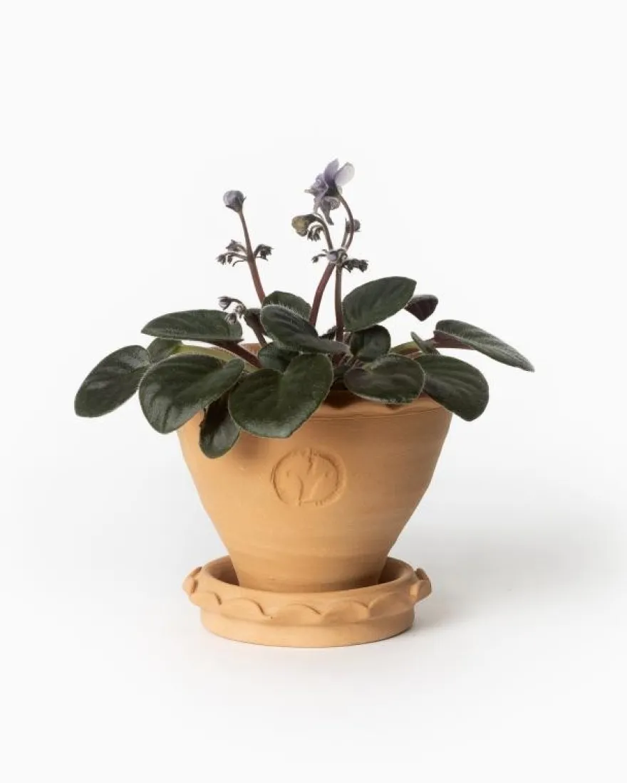 Kruka Sturehof - Adelcrantz 11 cm