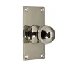 Rund knopp med bottenplatta - Nickel 40 x 70 mm